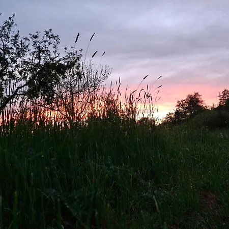 Sorgenfrei Σπίτι διακοπών Boxberg (Main-Tauber)